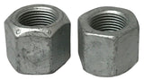 Genuine Ford 384032-S442 Nut 384032S442 - Pack of 2
