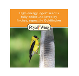 Royal Wing 11428 Prefilled Tall Finch Sock Bird Feeder, 25 oz.