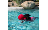 Jolly Pets 406BB 6 in. Tug- N - Toss Blueberry-Colored Dog Toy, Plastic Material