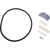 Pentair R211600 Latch and O-Ring Kit Assembly Replacement Safety Equipment