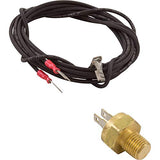 Raypak 600893B Auto-Reset High Limit Switch