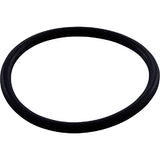 Jandy Zodiac R0544000 O-ring WMS Upper to Vactube Interface