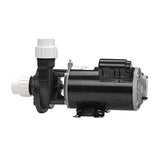 Gecko Alliance 02110000-1010 Flo-Master 1HP 115V 2 Speed Pump