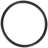 Hayward SPX1495Z1 Union O-Ring