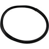 Pentair R36046 Baker Hydro Ring Die Gasket for Vac-Mate 211100