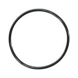 Pentair 590118Z Colorvision O-Ring Kit
