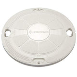 PENTAIR 85007400Z Skimmer Lid Lock Tyre Replacement White