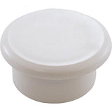 Pentair R36019 Plug Cap