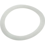 Pentair 195004 Polyethylene Washer