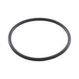 Jandy Zodiac W151211 Electrode O-Ring