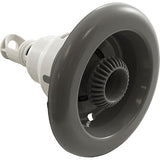Waterway 229-6647 5" Power Storm Directional Smooth Jet Internal - Gray