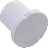 Waterway 715-0040 0.75" Slip Barb Plug Smart Plumb