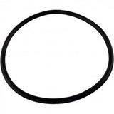Hayward SPX3200S O-Ring Strainer Cover