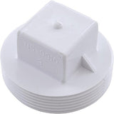 Waterway 715-9910 2" MPT Plug