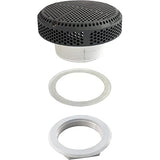 Waterway 640-3587 V 3-1/4"hs, 2-1/2"s Super Hi-Flo Suction Assy- Gray
