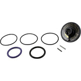 Jandy Zodiac R0442100 Rebuild Kit for Backwash Valve