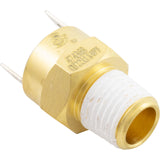 Pentair 42002-0025S Gas Shutoff Switch