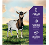 DuMOR 3007568-745 Livestock Supplies Berry Flavor Goat Treats, 4 lb.