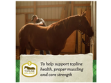 Nutrena 94513 SafeChoice Mare and Foal 16% Pelleted Horse Feed, 50 lb. Bag
