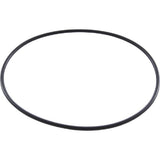 Jandy Zodiac W150181 Cell O-Ring for Zodiac LM3 - view 3