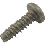 Pentair 98203000 StainlessSteel Retainer Slot High-Low Head Sealing Screw
