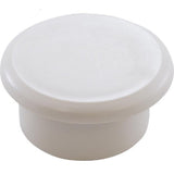 Pentair R36019 Plug Cap
