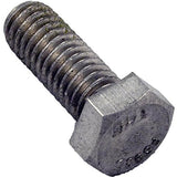 Pentair 354290 0.38" Stainless Steel Screw