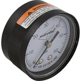 Generic IPPG602-4B Pressure Gauge 0.25" Mpt Back Mount