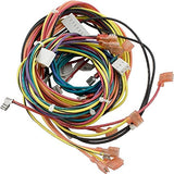 Raypak 009490F Wire Harness for Electronic IID Heater