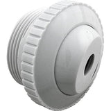 Pentair 540014 Directional Eyeball Thread Wall Fitting - White