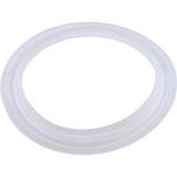 Pentair 959000 Wall Fitting Gasket Pent Cyclone Micro BWG