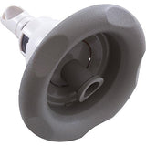 Waterway 212-7607 Power Storm Internal Roto Scalloped - Gray