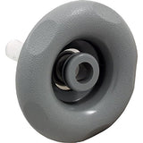 Pentair 9649WW Emerald Cut Non Swirl Barrel Assembly - Dark Gray