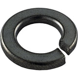 Pentair U43-12SS 0.38" Lock Washer