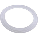 Pentair 985700 Wall Fitting " L" Gasket Cyclone Luxury Jet