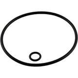 Jandy Zodiac G58 Polaris O-Ring Kit for 180/280/360/380/3900 Backup Valve