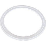Waterway 711-6910 Flat Mini Storm Jet Gasket