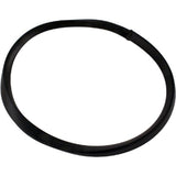 Pentair R36046 Baker Hydro Ring Die Gasket for Vac-Mate 211100