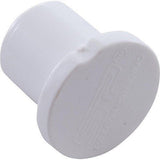 Waterway 715-0040 0.75" Slip Barb Plug Smart Plumb