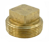 Raypak 013738F Unitherm Governor Plug for Digital Heaters