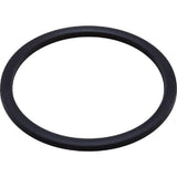 Waterway 711-6090 Internal Gasket Polyjet