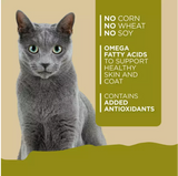 4health Wholesome Grains Chicken and Rice Recipe Wet Cat Food, 5.5 oz. 1 Can