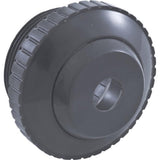 Pentair 540016 1.5" MPT and 0.5" Orifice Inlet Fitting - Dark Gray