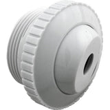 Pentair 540014 Directional Eyeball Thread Wall Fitting - White