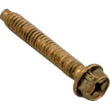 Pentair 79210600 Hex Head Bolt for Pool & Spa Light