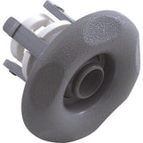 Waterway 212-1247 Adjustable Mini Jet Internal - Gray
