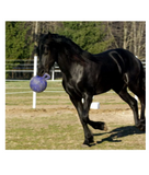 Horsemen's Pride 410 Jolly Ball Tug-n-Toss Horse Toy, 10 in.