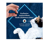 Blue Buffalo 800285 Adult High-Protein Grain-Free Salmon Recipe Dry Cat Food, 5 lb.