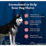 Blue Buffalo High Protein Adult Dry Dog Food Wholesome Grains, Salmon 4.5 lbs - view 10