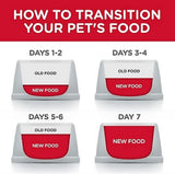 Hill's Science Diet Adult 7+ Beef and Barley Chunks Wet Dog Food, 1 Can, 13 oz.